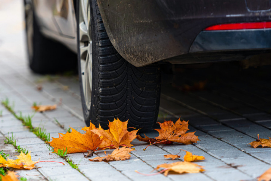 Colorful autumn leaves on pavement with car wheel 2022 08 01 04 29 03 utc 86095