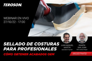 Teroson sellado costuras 87072