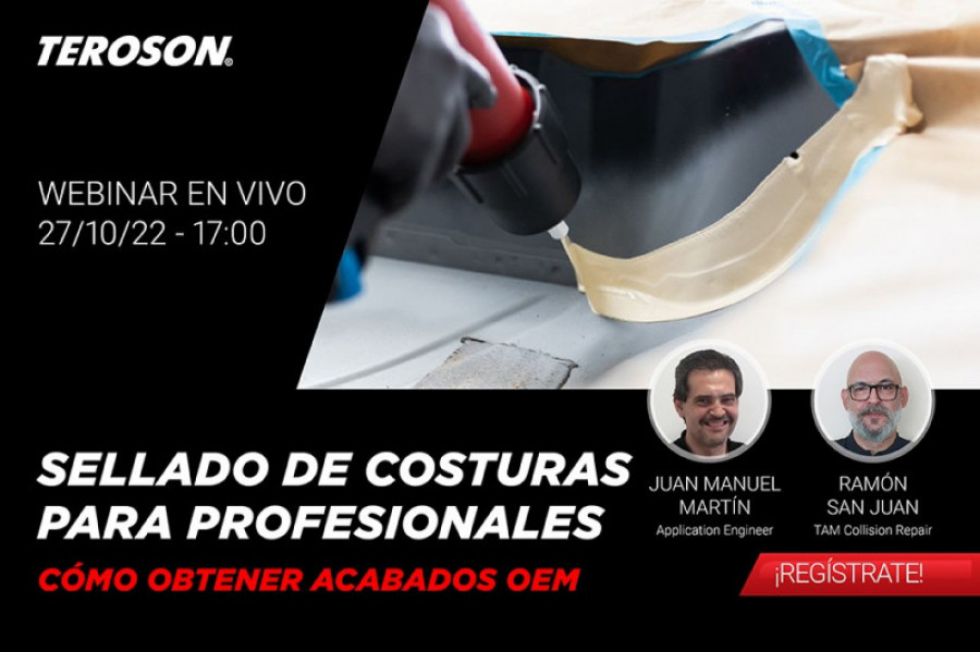 Teroson sellado costuras 87072