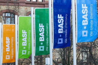 Basf banderas 86619