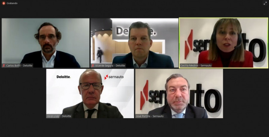 Webinar ayudas perte vec 82251