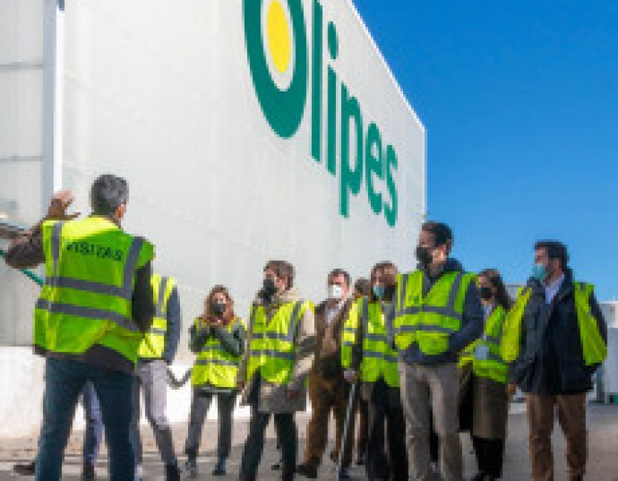 Olipes 81028