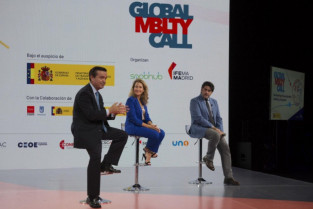 Global mobility call 77066