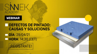 Sinnek webinar defectos pintado 74560