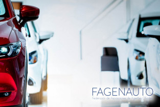 Fagenauto 64814