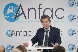 Informe anual anfac 59232