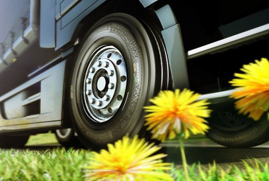 Continental tires dandelion taraxagum image 47930