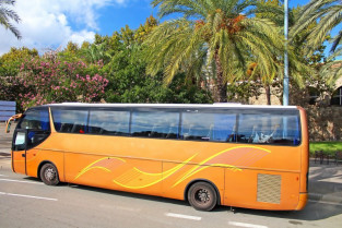Crecen los defectos graves en autobuses 32828