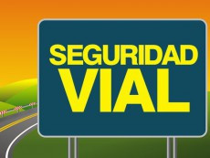 Seguridad vial 29208
