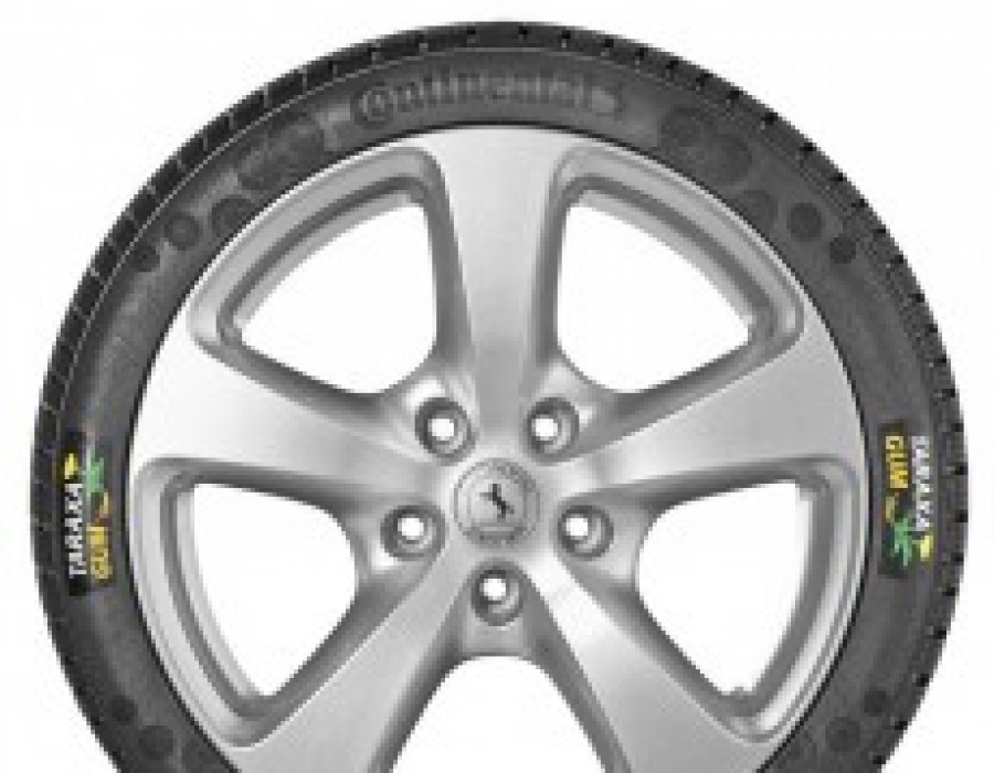 3 wintercontact ts 850 p tread pattern out of dandelion rubber 28553