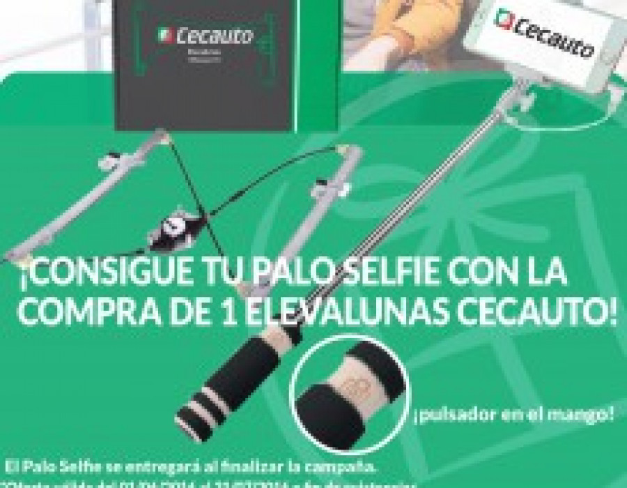 Paloselfie elevalunas campana 26938