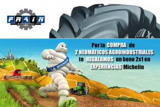 Frain michelin 21601