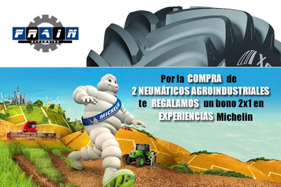 Frain michelin 21601