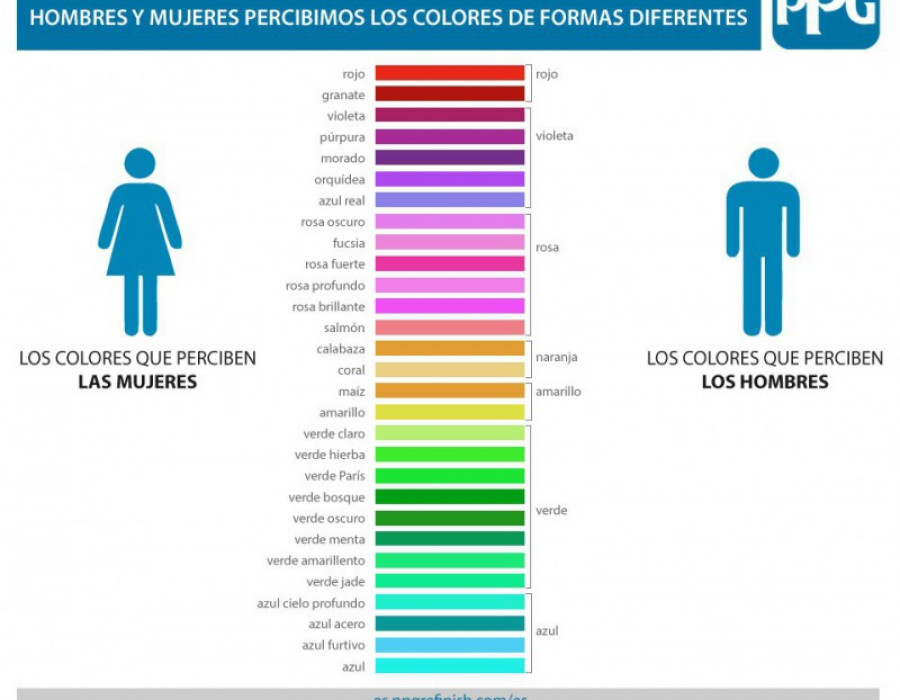 Percepcion colores ppg 20608