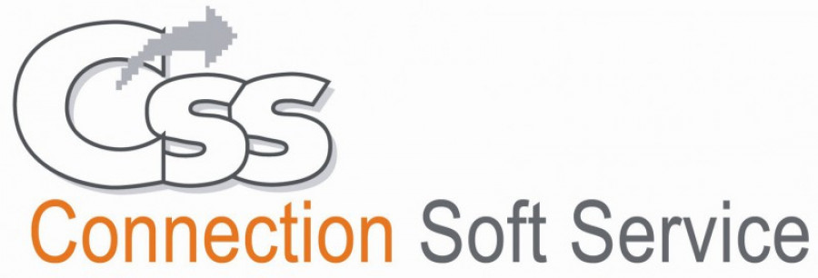 Logo css 9433