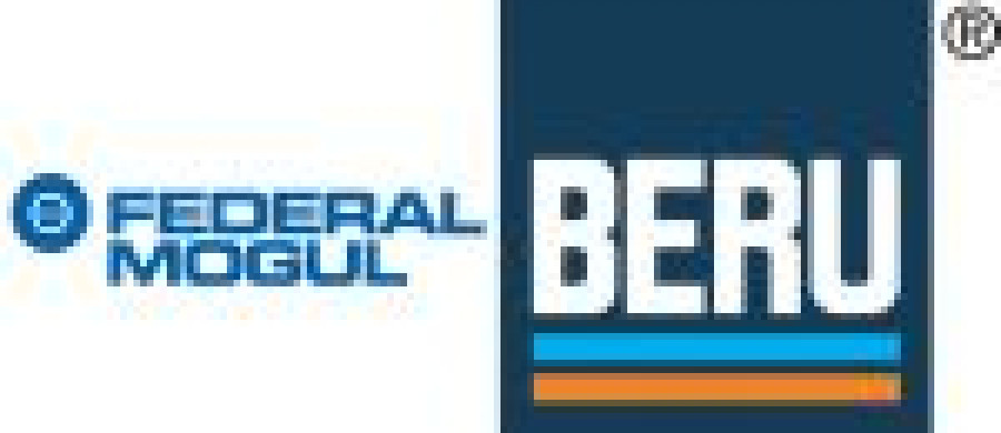 Beru federalmogul logo baja 6609