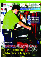 Neumaticos20