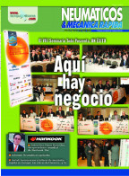 Neumaticos33