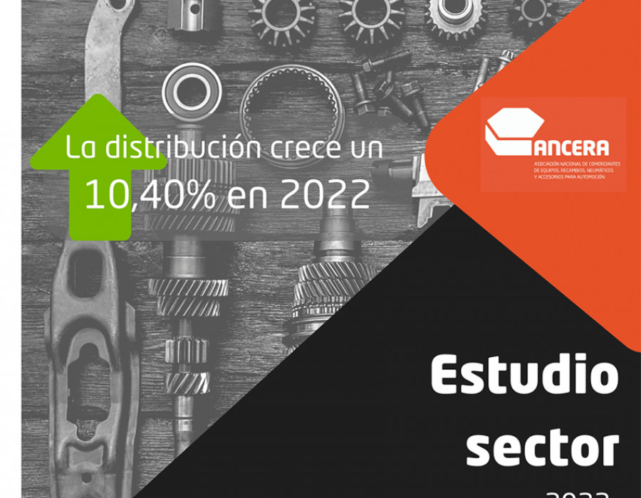 ANCERA Estudio sector 2022