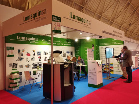 Lumaquin