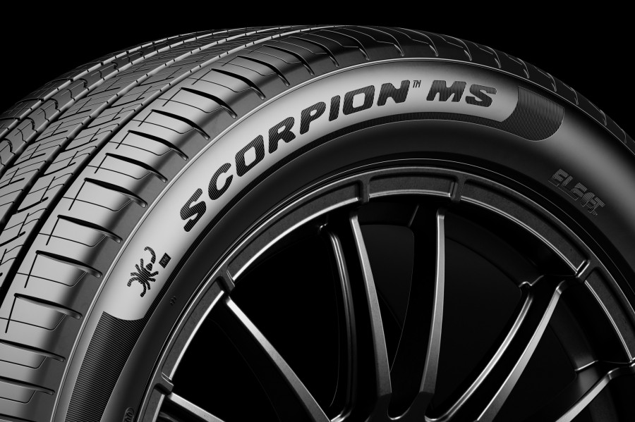 Scorpion MS 2 LR