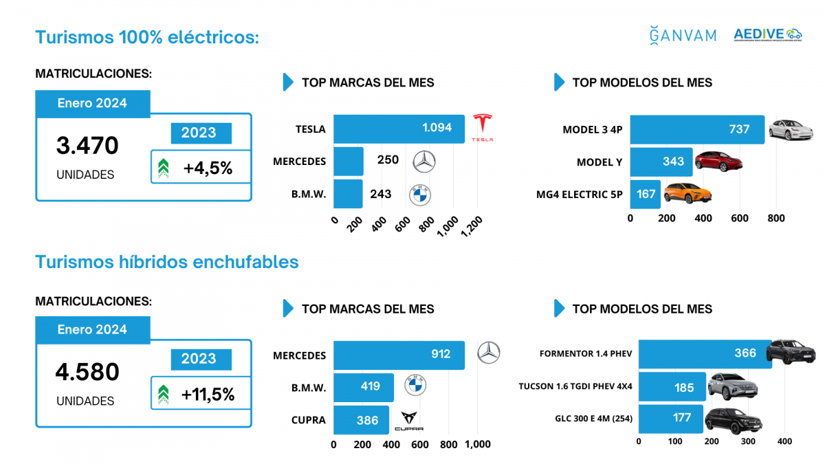 Vehu00edculos electrificados por marcas y modelos enero 2024