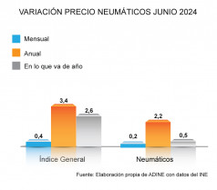 GRAFICA PRECIO NEUMATICO JUNIO