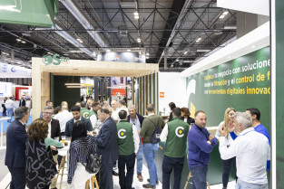 226  CARTES IFEMA