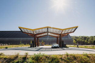 Evabloem FASTNED Dinslaken 011