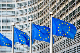 COMISION EUROPEA