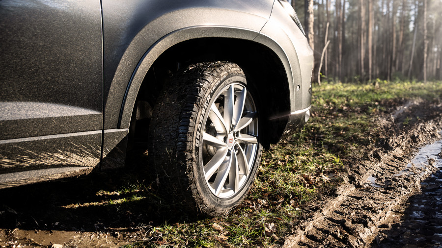 PP General Tire CrabberCrossAS (3)